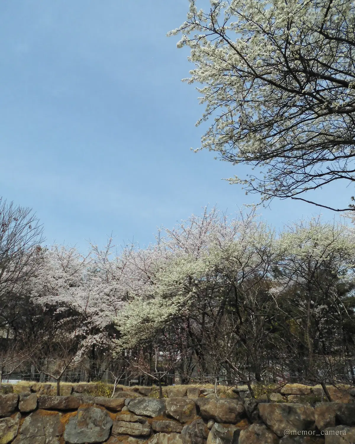 thumbnail-10